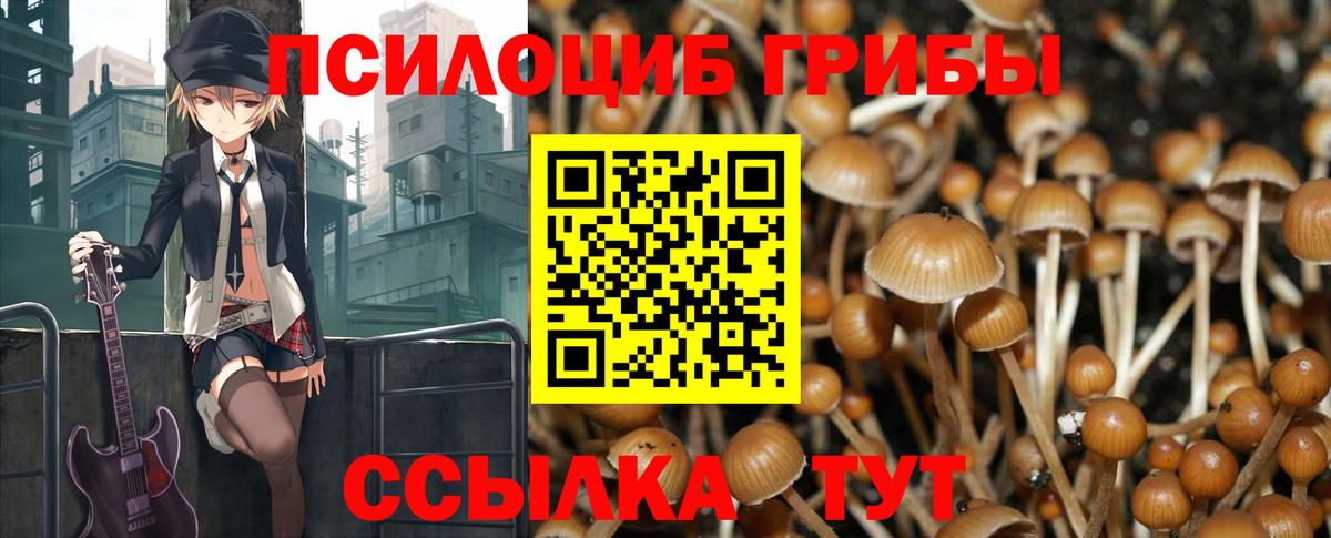 Галлюциногенные грибы GOLDEN TEACHER  Псилоцибиновые грибы Cubensis  Ярославль  Вход с VPN 